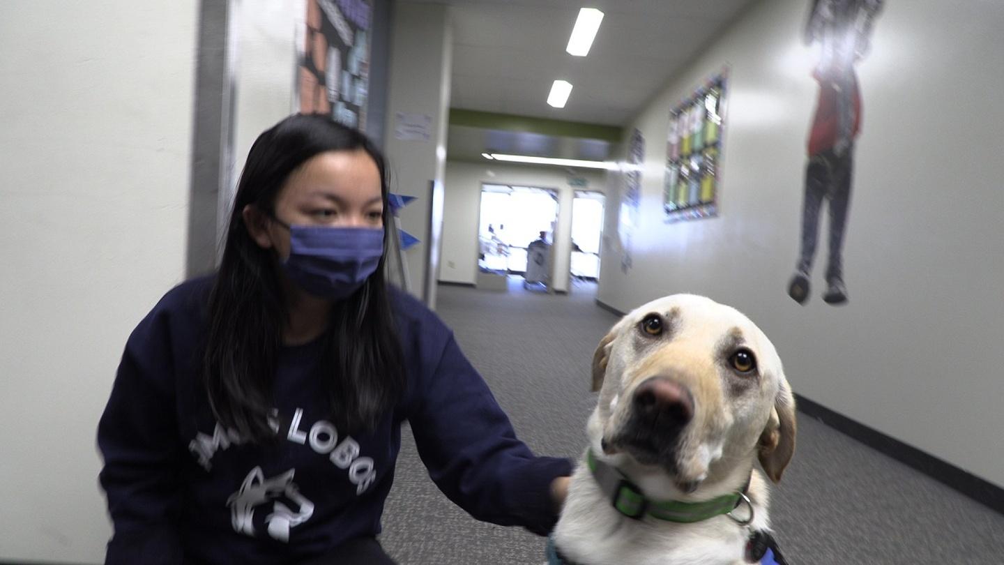 Furry school staff member nuzzles his way into the hearts of students